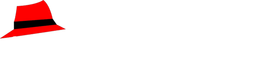 The Detailing Mafia — Tirupati